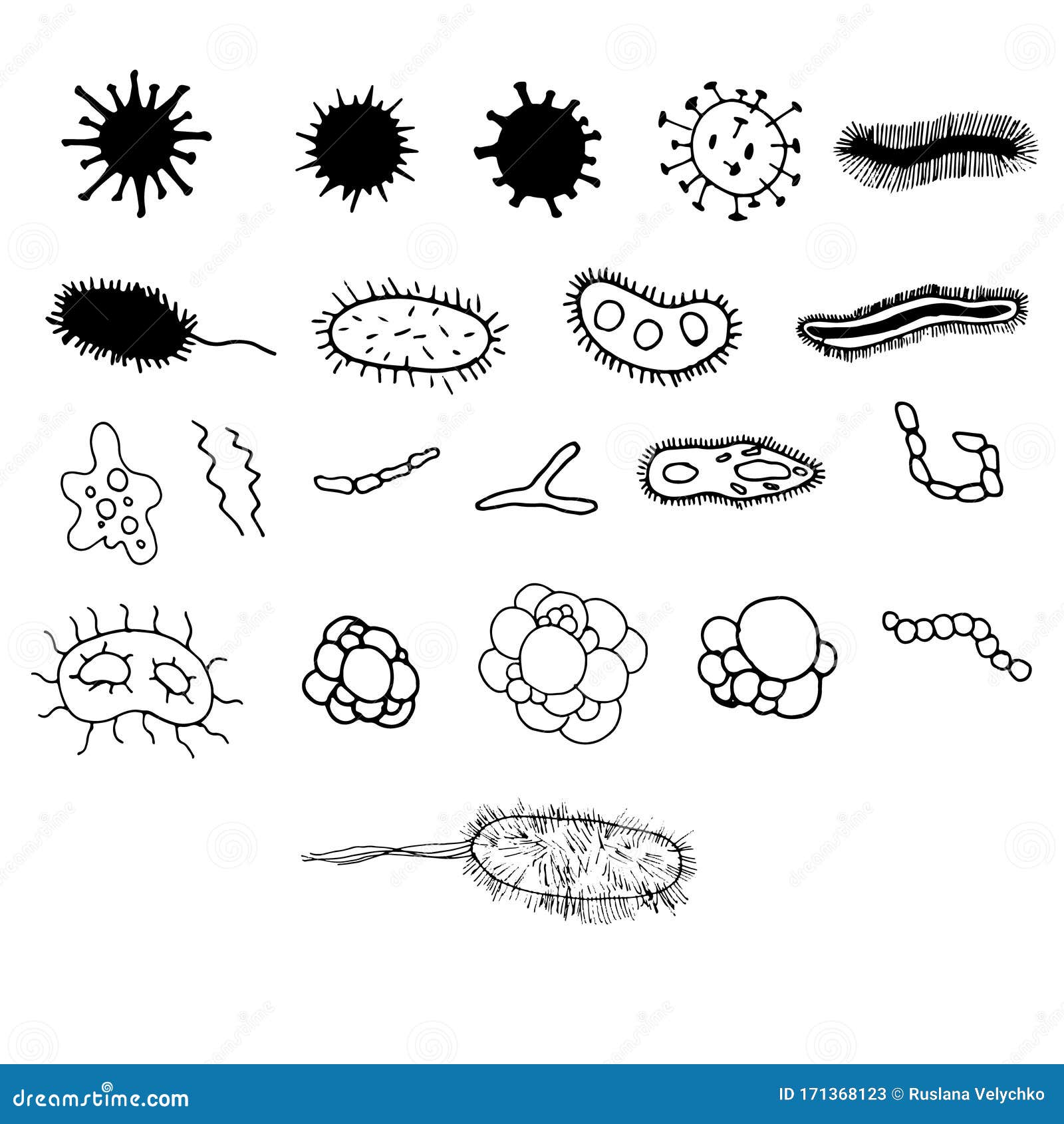 Establecer Bacterias, Microbios Y Virus Microorganismos Aislados En  Vectores De Fondo Blanco Conjunto Ilustrado Dibujo Manual Y G Stock de  ilustración - Ilustración de ameba, bacterias: 171368123