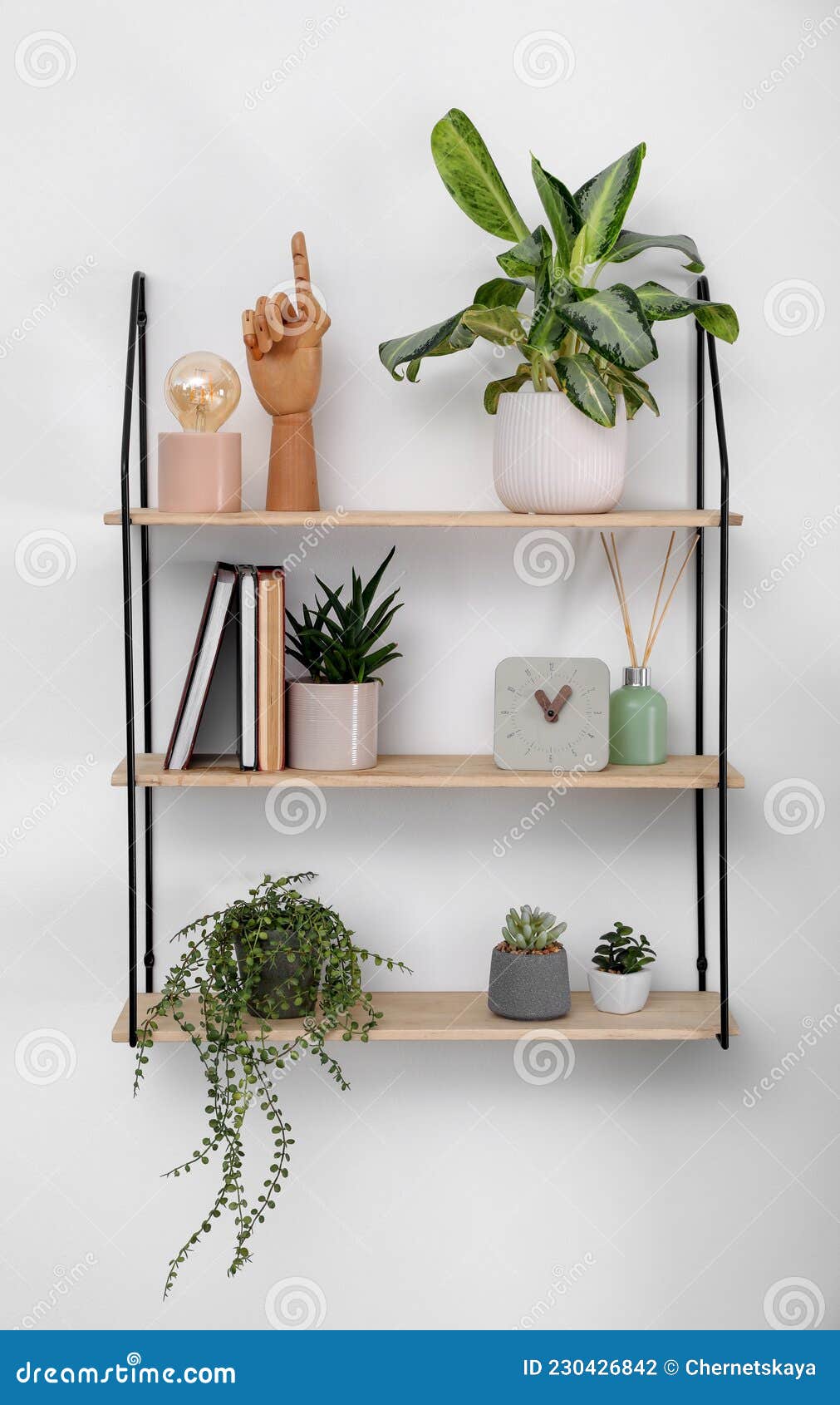 Estantería Con Un Bonito Libro De Plantas Y Decoración En Pared De Luz Foto  de archivo - Imagen de exuberante, acogedor: 230426842