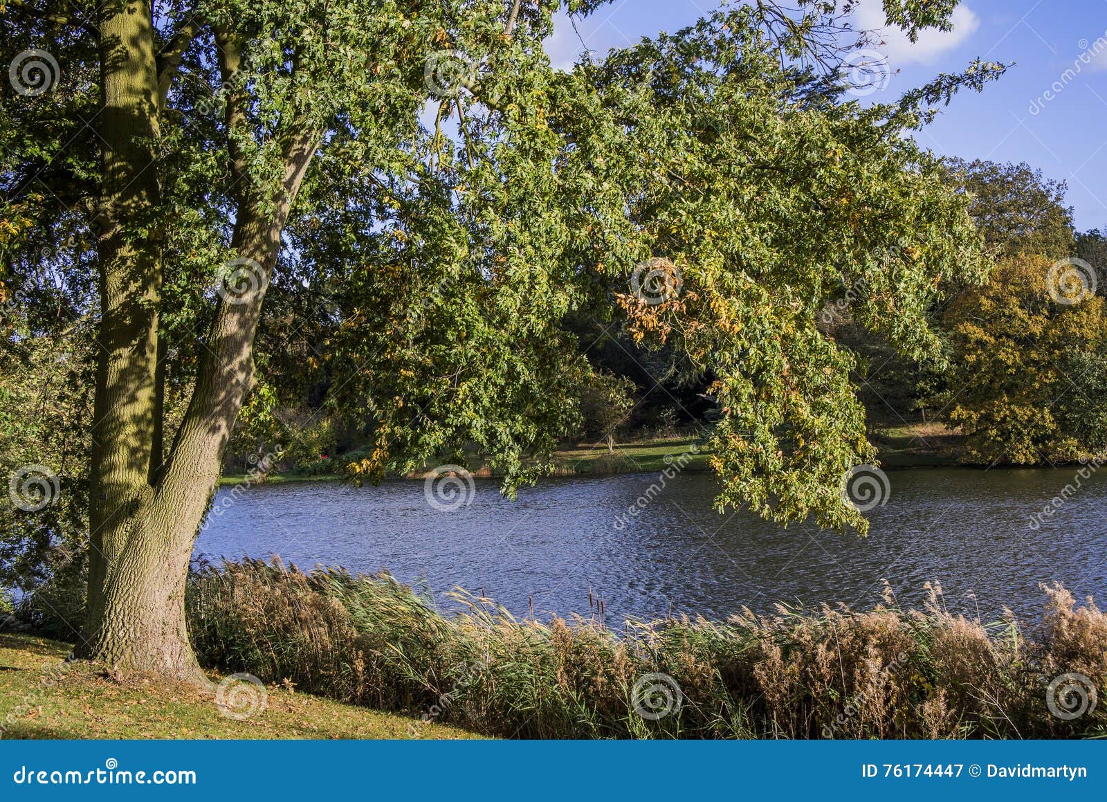 Estate stock image. Image of wealthy, estate, real, warwickshire 76174447