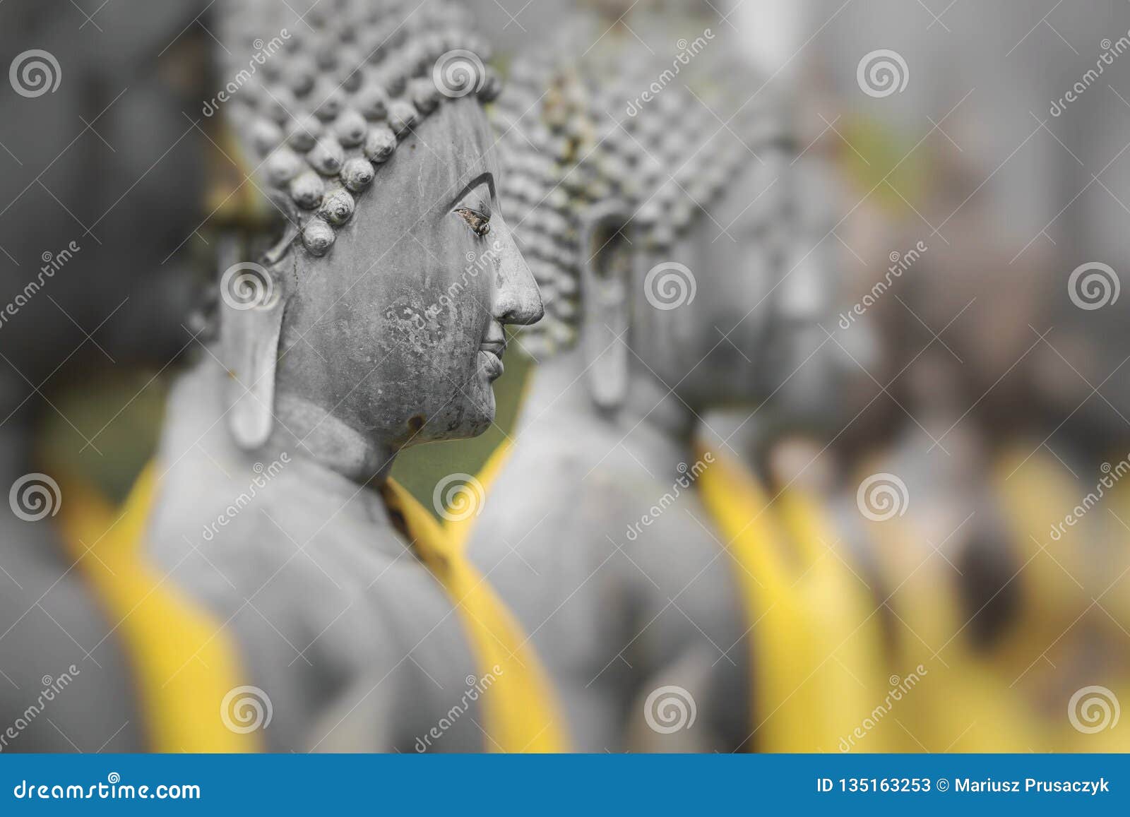 Estatuas de Buda en Seema Malaka Temple, Colombo, Sri Lanka Foco selectivo