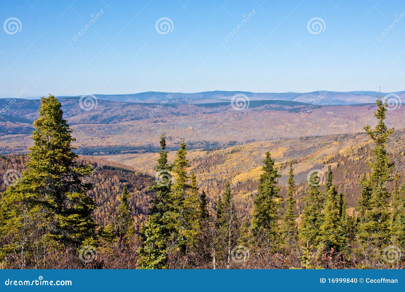 Ester Dome in Fall stock photo. Image of landscape, leaves 16999840