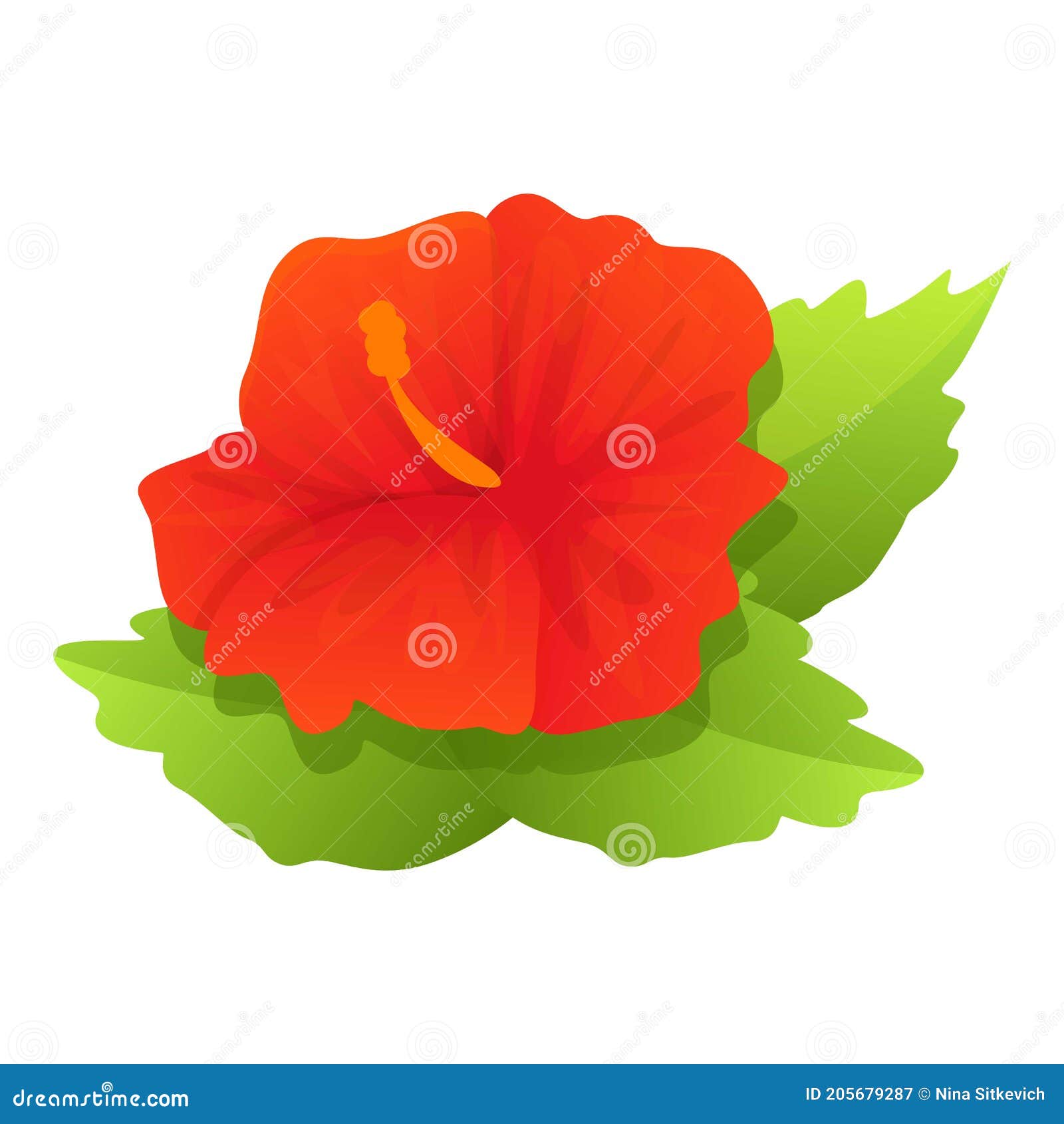 Estilo De Dibujos Animados De Iconos De Flor Hibiscus Ilustración del Vector - Ilustración de flor, color: 205679287 Estilo De Dibujos Animados De Iconos De Flor Hibiscus Ilustración del Vector - Ilustración de flor, color: 205679287