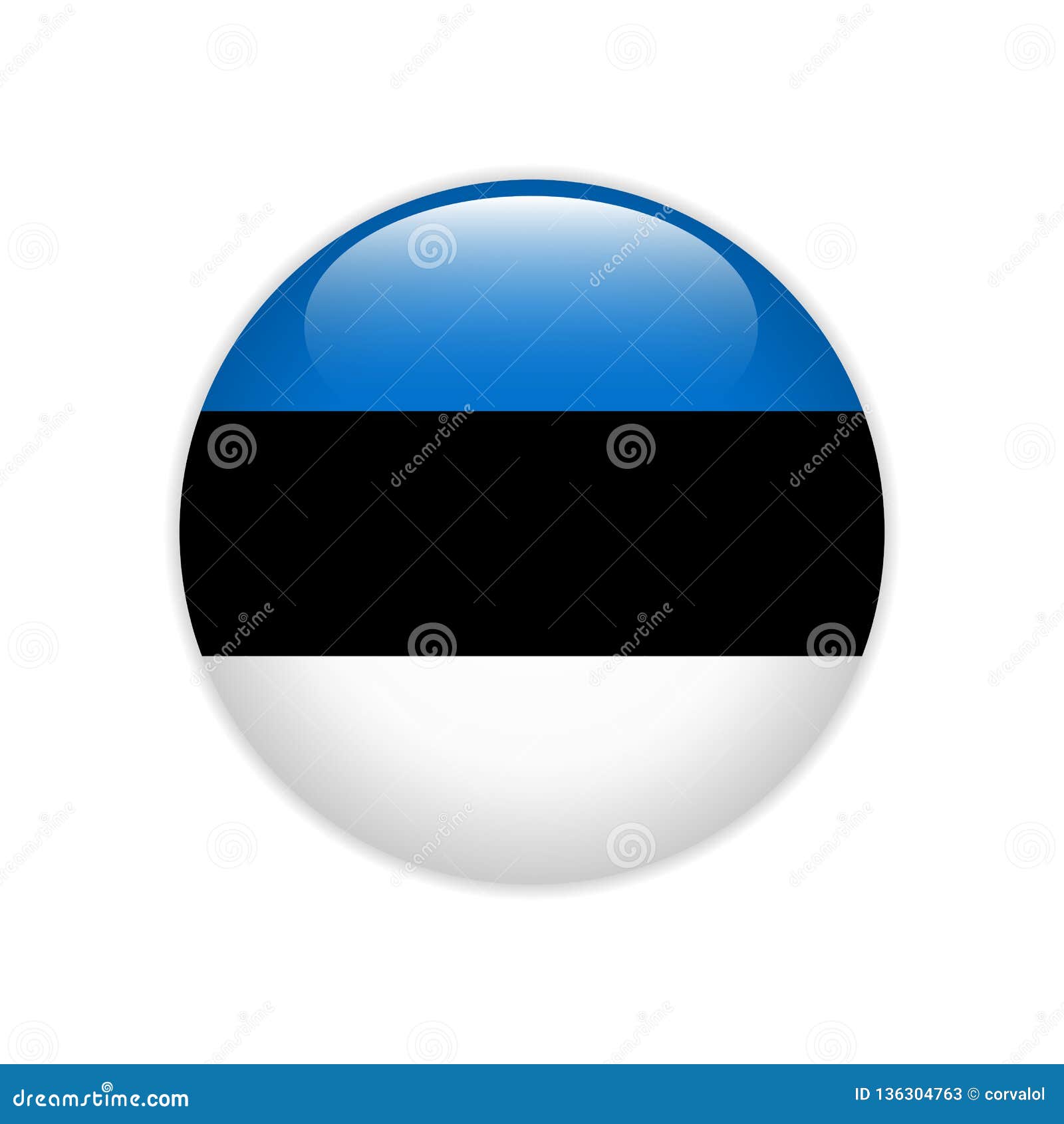 estonia flag on button