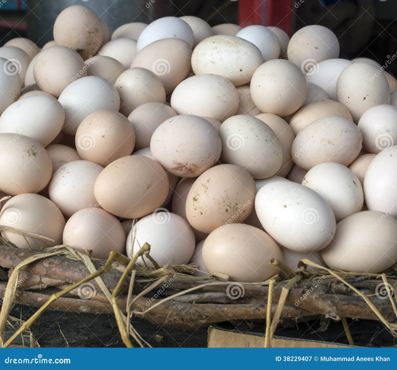 Estoque de Hen Eggs imagem de stock. Imagem de compra 38229407