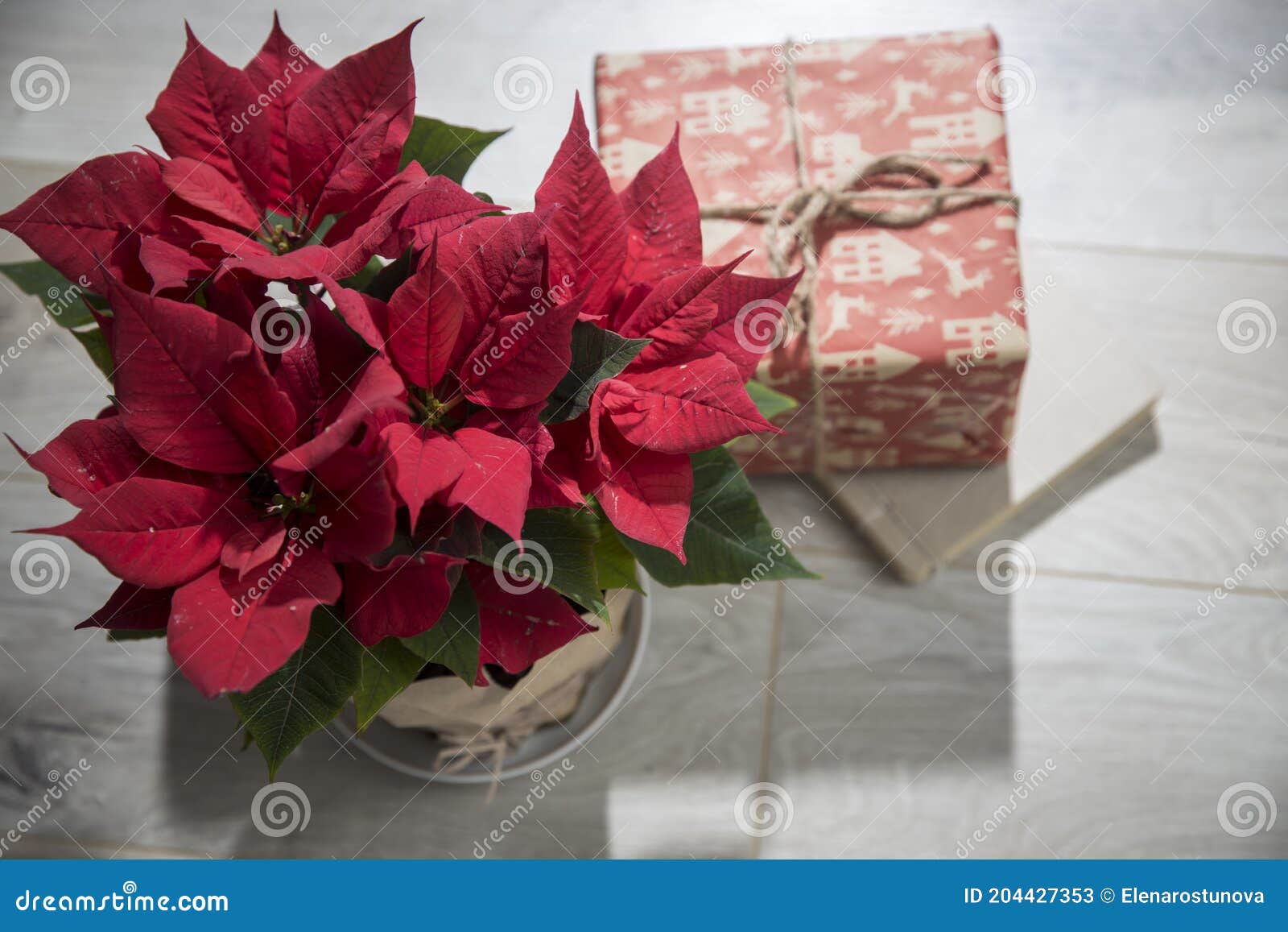 Estrela De Poinsettia De Flor De Natal E Caixas Com Presentes Para Natal Em  Uma Mesa De Madeira. Ver De Cima Imagem de Stock - Imagem de dezembro,  tradicional: 204427353