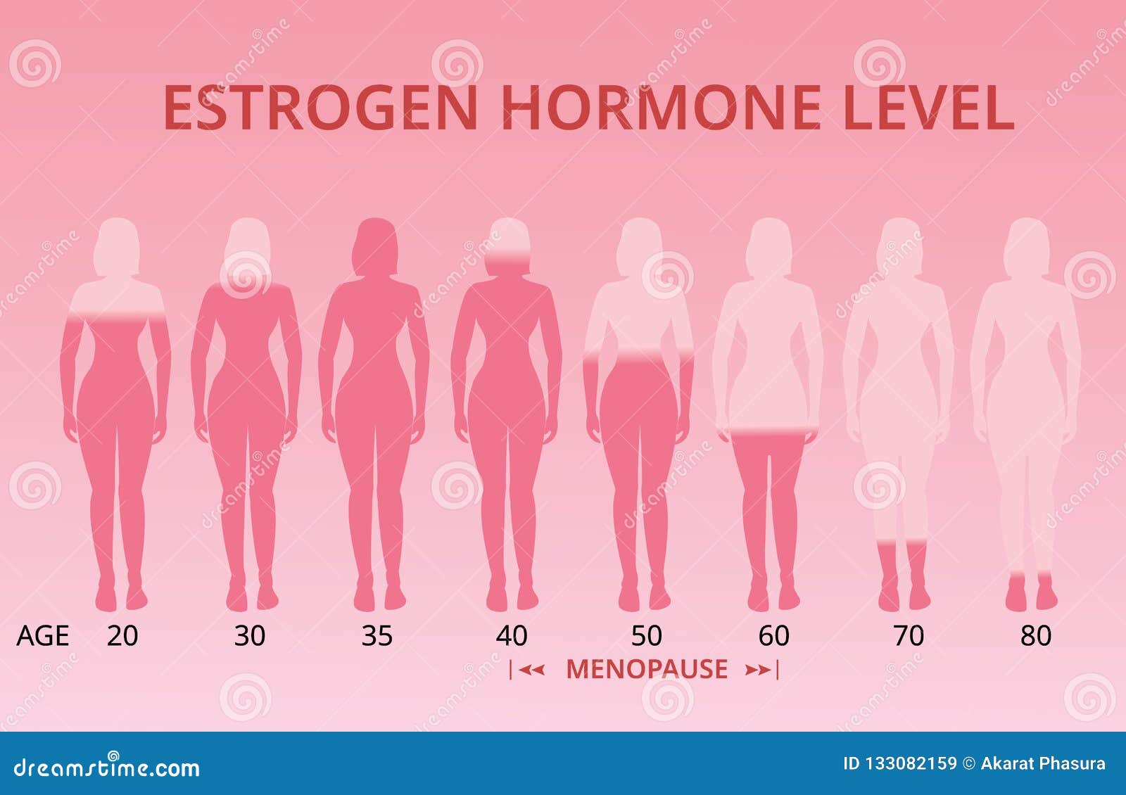 Estrogen menopause hormone estrogeno livelli menopausa ormone vettore