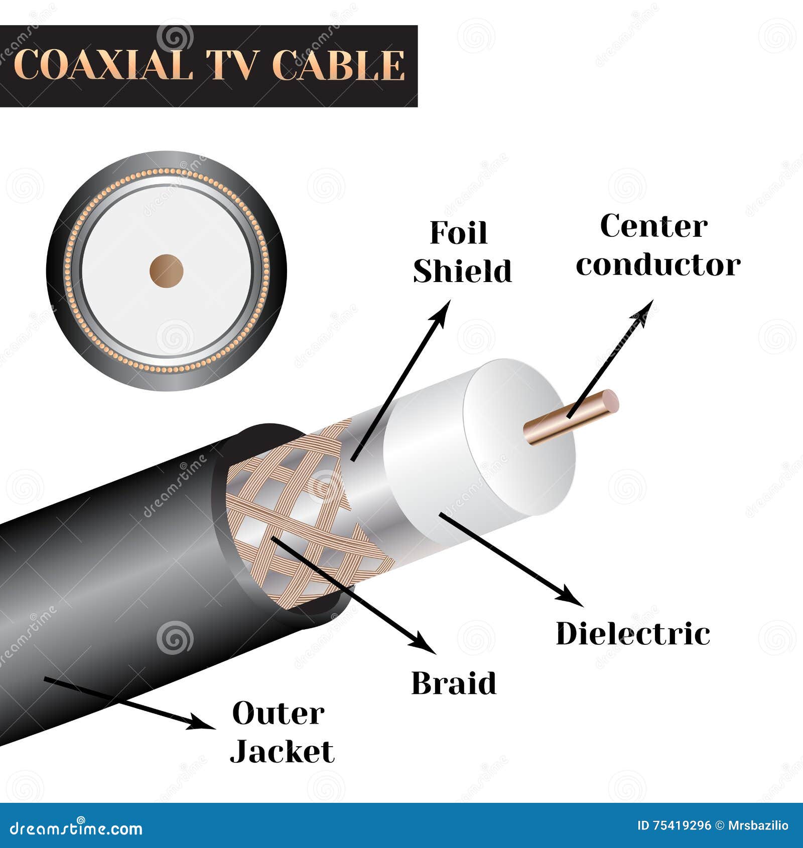 Estructura Coaxial Del Cable De La TV Clase De Un Cable Eléctrico  Ilustración del Vector - Ilustración de interno, antena: 75419296