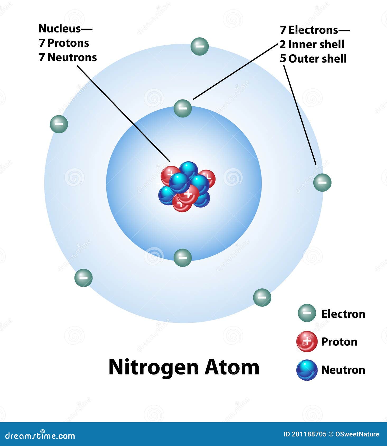 Estructura Molecular De Un átomo De Nitrógeno Ilustración del Vector -  Ilustración de shelles, modelo: 201188705