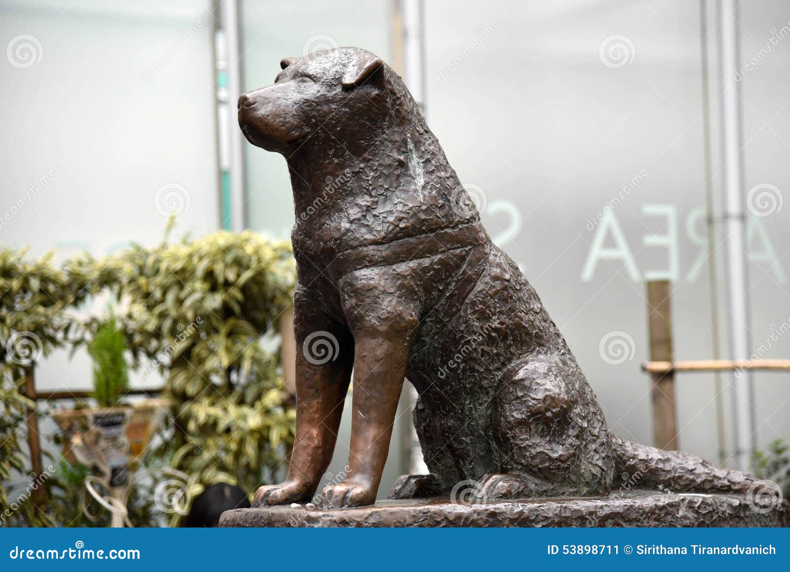 Estátua de Hachiko foto editorial. Imagem de filme, bronze 53898711