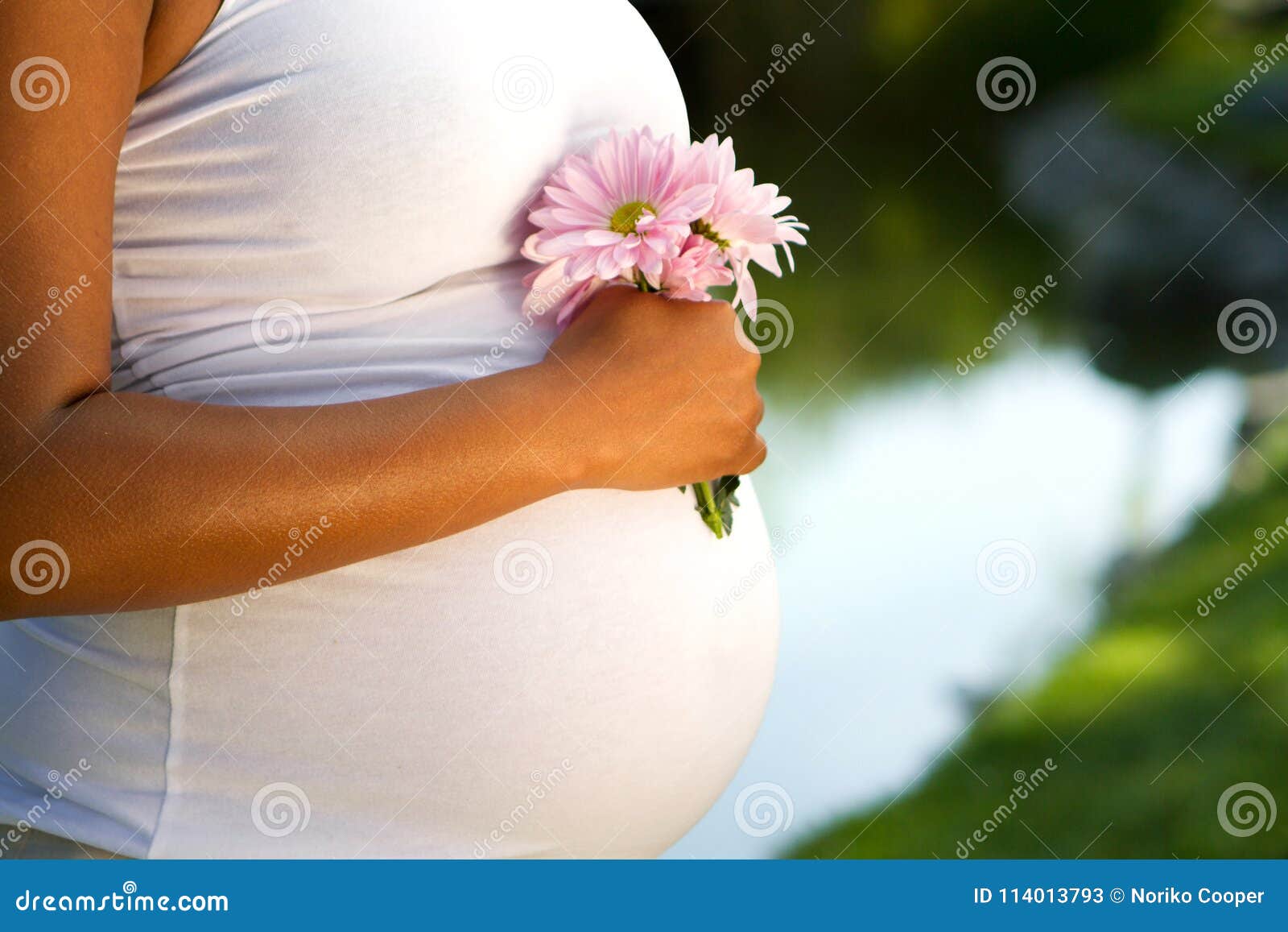 Estómago Del ` S De La Mujer Embarazada Imagen de archivo Imagen de