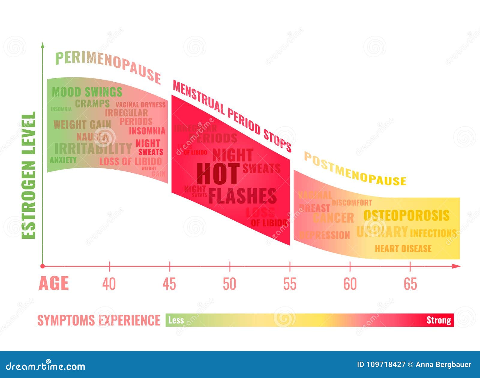 Etapas De La Menopausia Infographic Ilustración del Vector