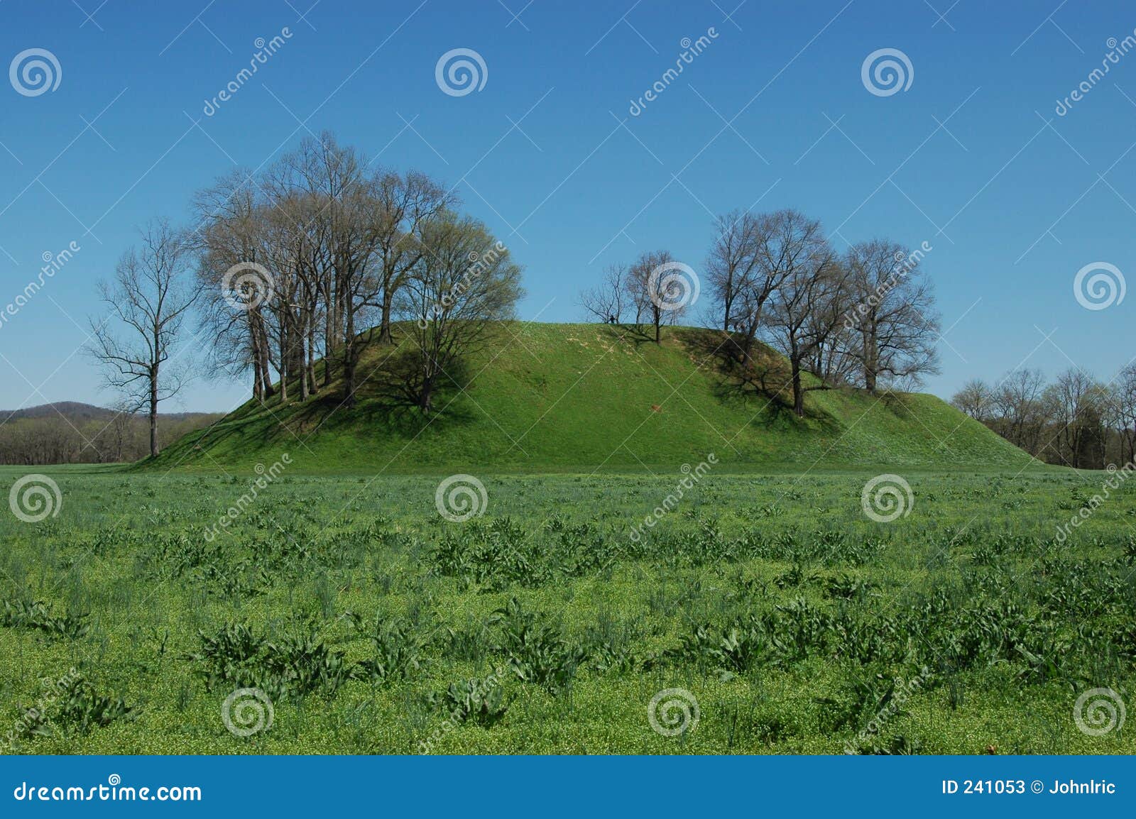 Etawah Mounds stock image. Image of park, burial, green - 241053