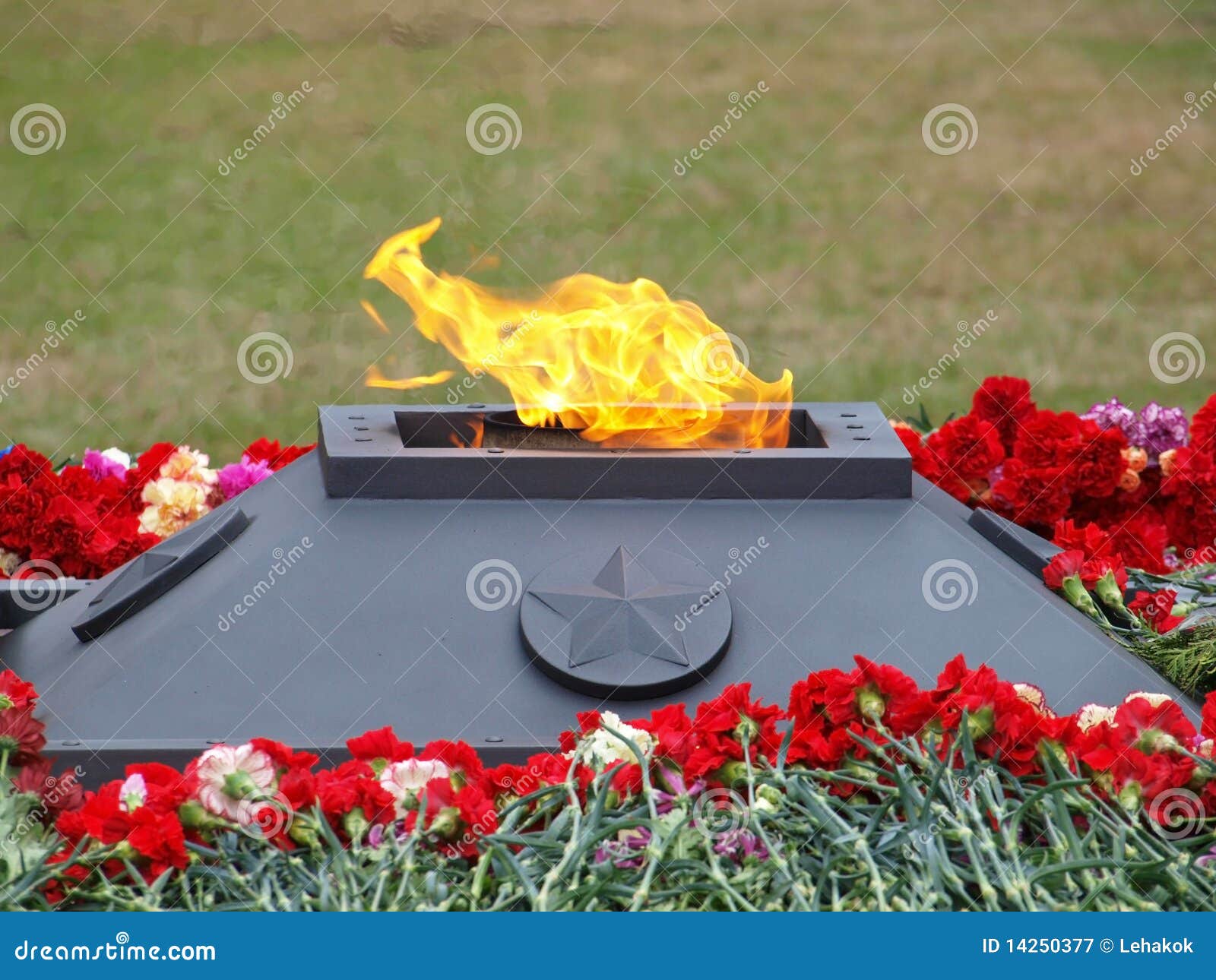 Eternal flame stock image. Image of flowers, sacred, spirit 14250377