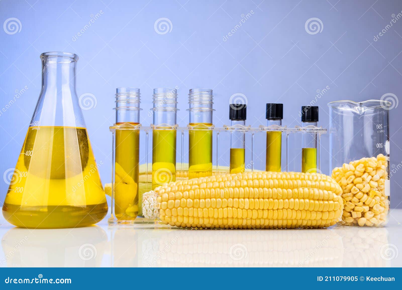 Ethanol Biofuel Derived from Corn Maze with Beaker Test Tubes in