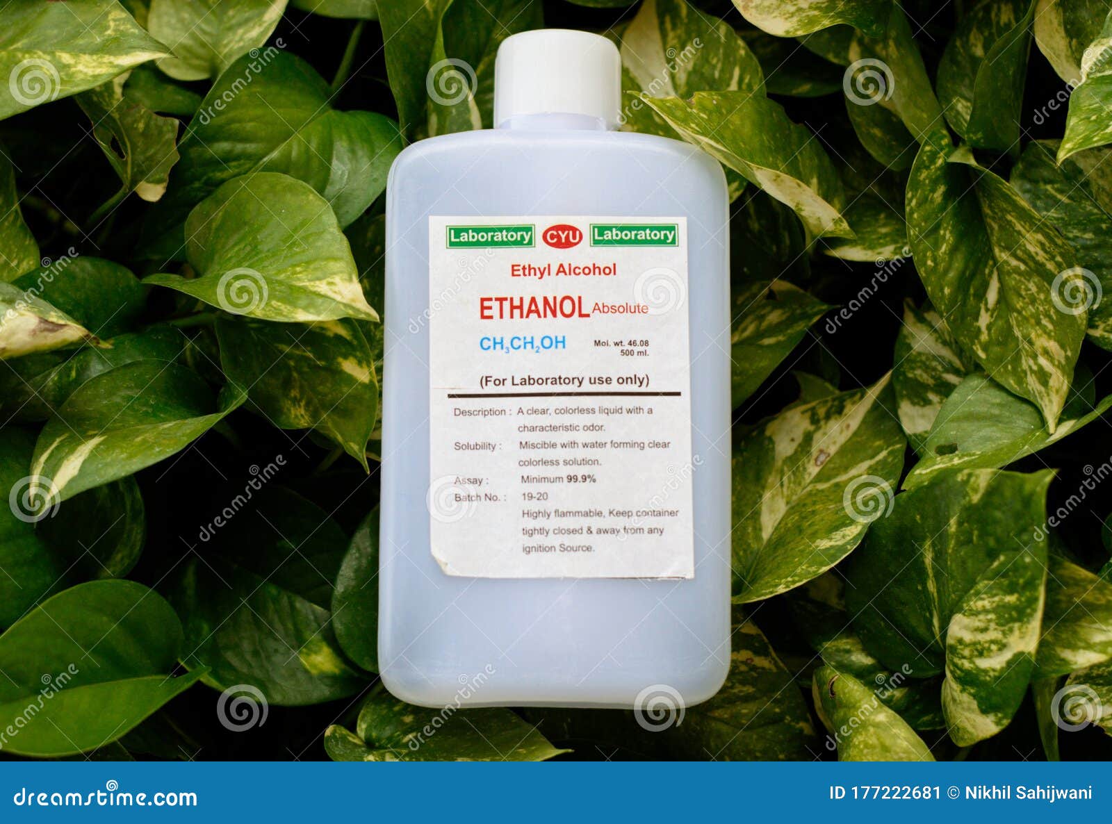 Ethanol Bottle Kept on Leaves Stock Image Image of isolated