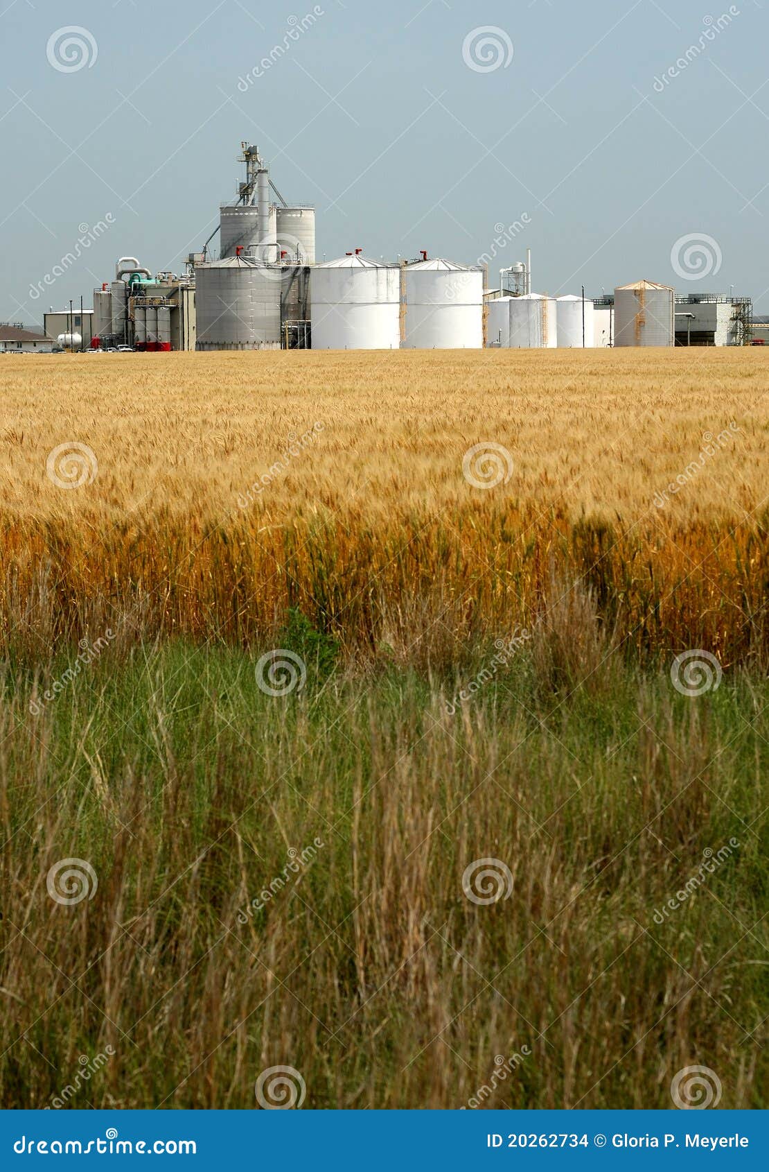 Ethanol Plant stock photo. Image of biofuel, biodiesel 20262734