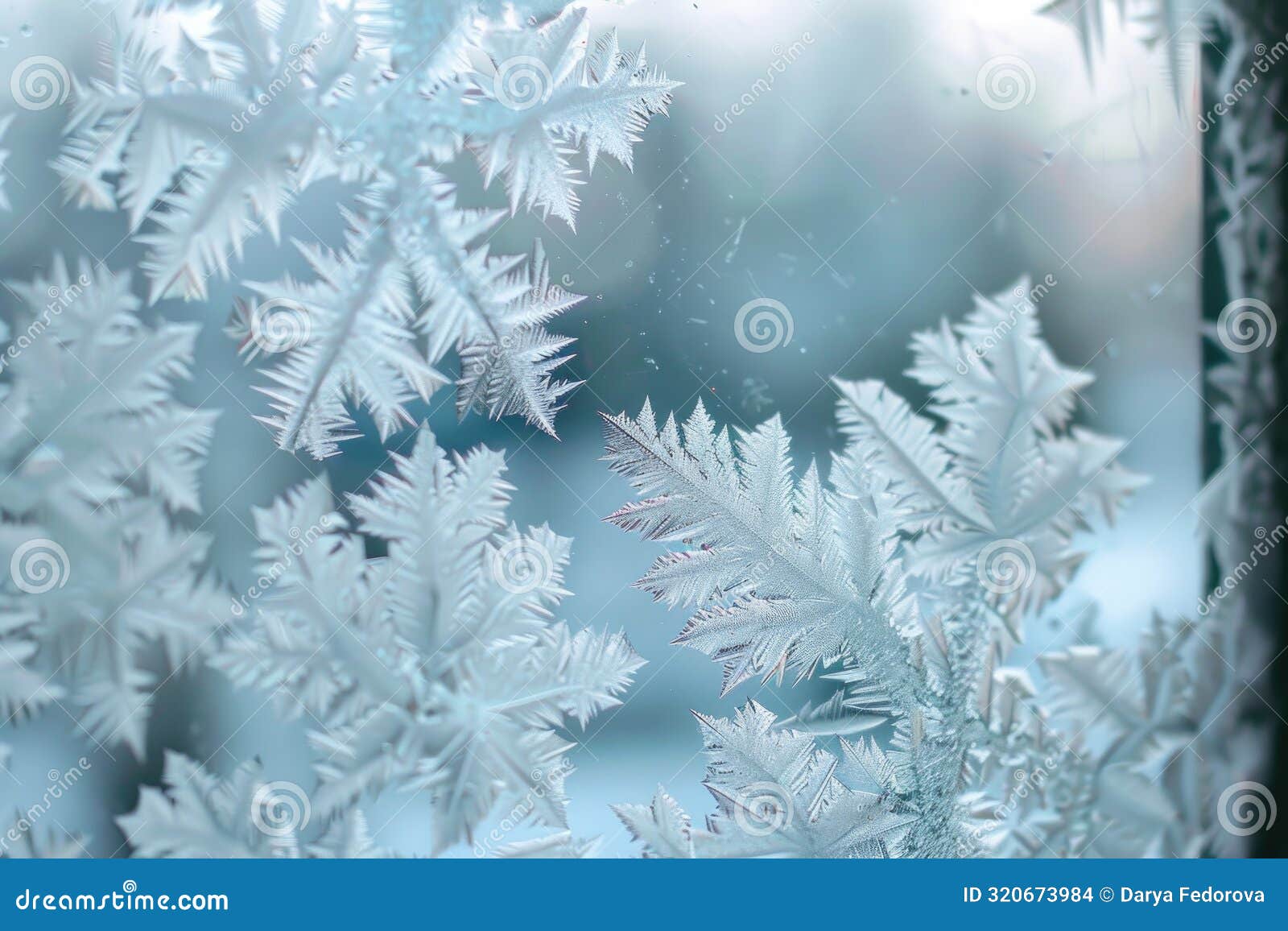 ethereal frost patterns on winter windowpane