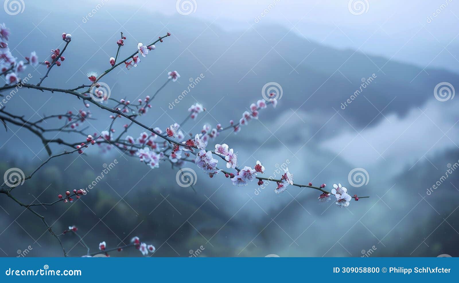 pristine cherry blossoms emerge on a branch, with a soft mist enshrouding distant mountains. generative ai
