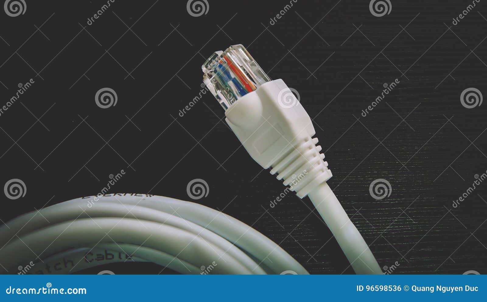 Cable RJ45 Head Connectors Stock Photo Image of connection