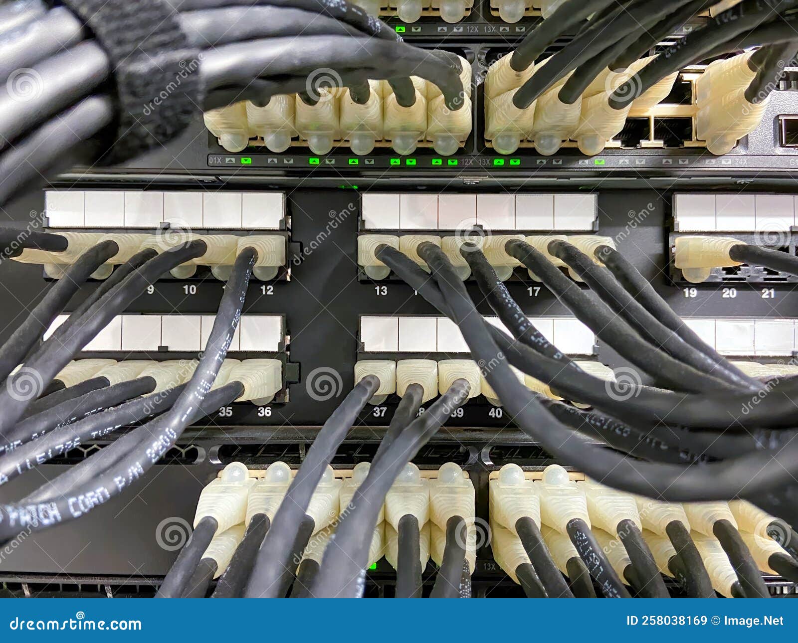 Cables Connected To the Network Equipment Stock Image Image