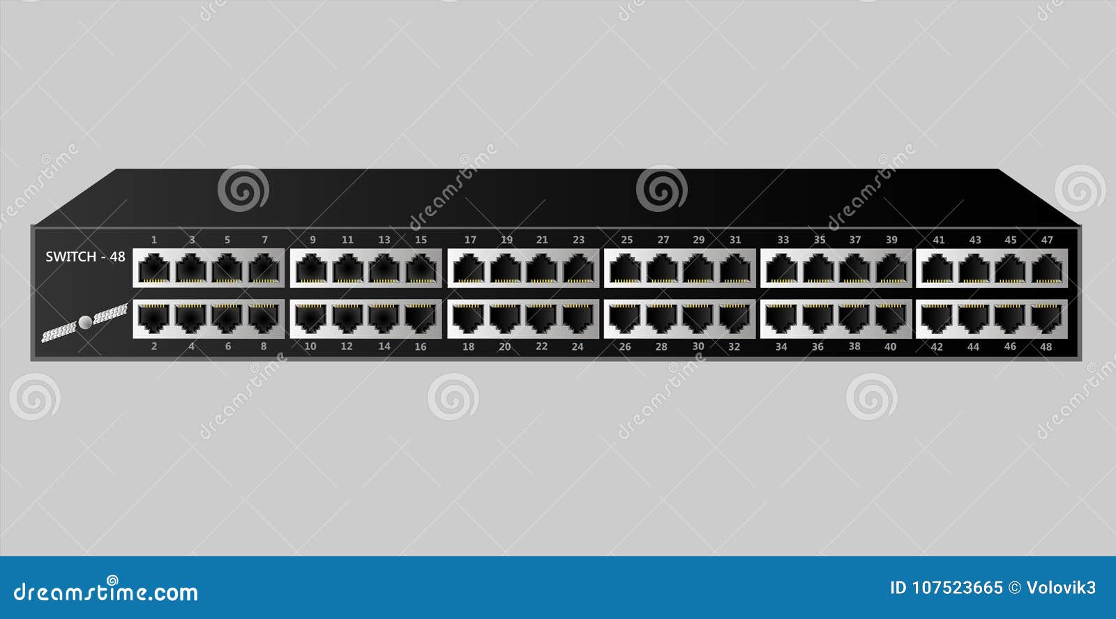 ethernet switch with 48 ports. the name and emblem are invented.