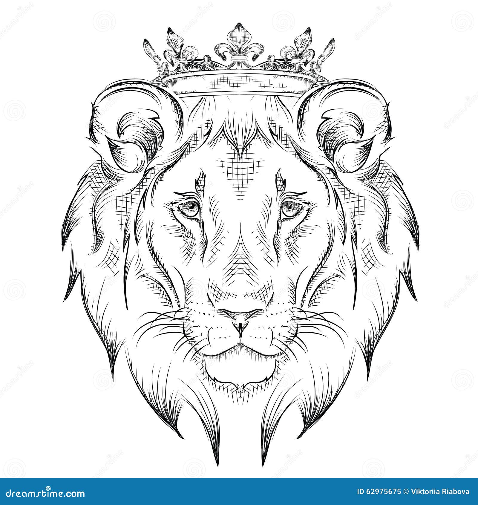 Sketch work lion tattoo on the left upper arm