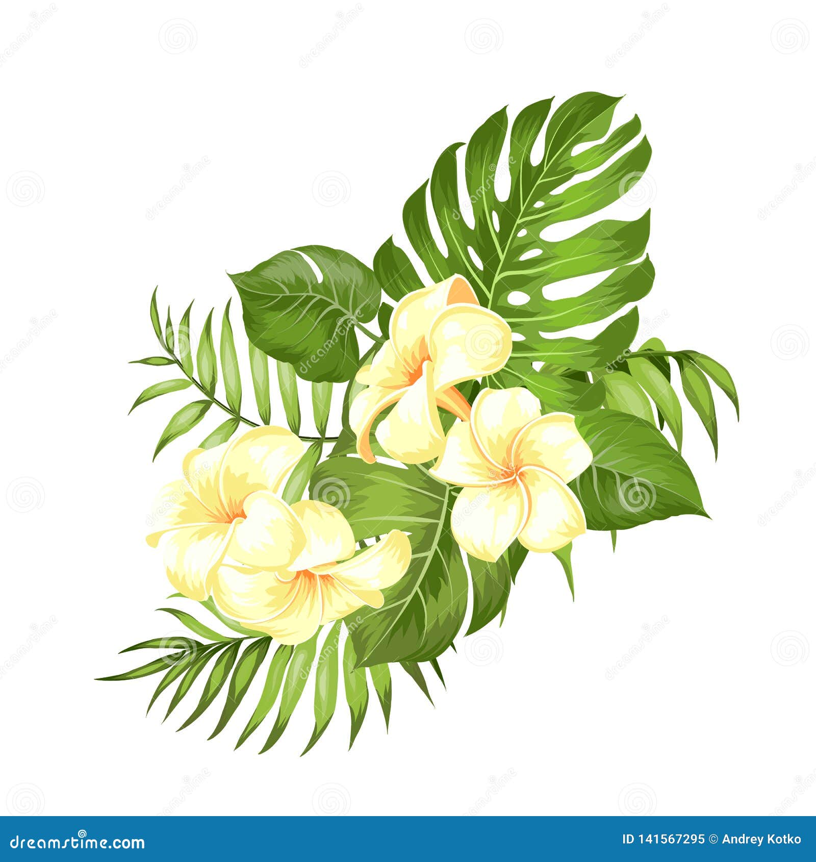 Etiqueta Com Flores Do Plumeria Ramalhete De Flores Tropicais Aromáticas  Molde Do Cartão Do Convite Com As Flores Da Cor De Ilustração do Vetor -  Ilustração de cumprimento, floral: 141567295