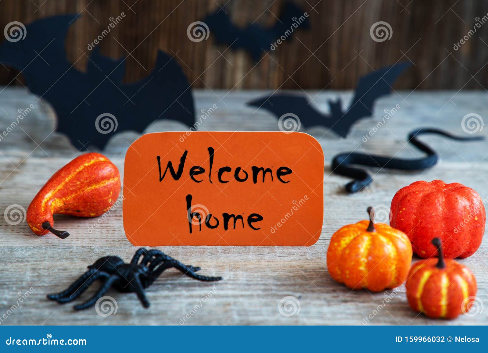 Inicia «Bienvenidas a Casa»