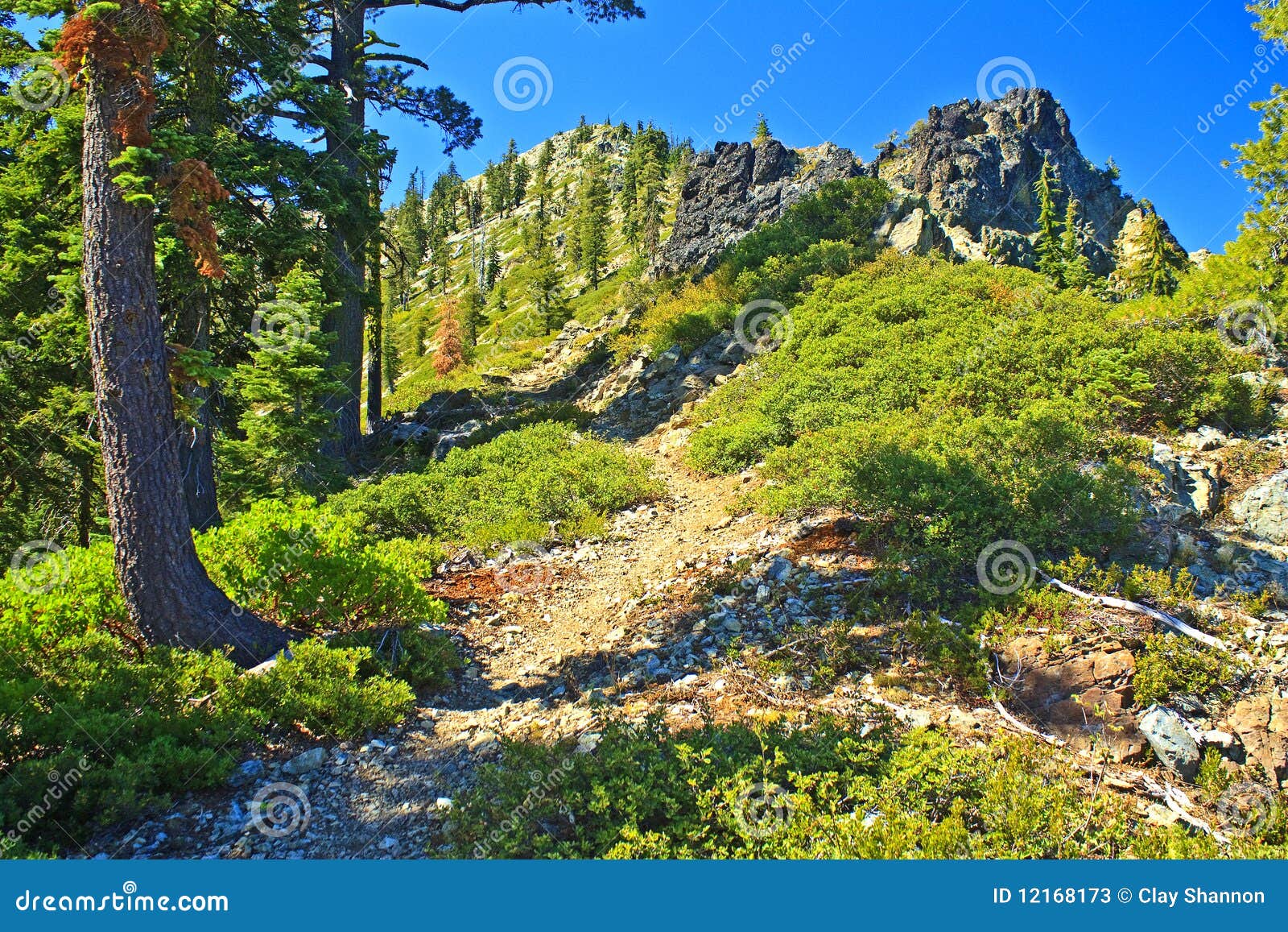 Etna Summit 2 stock image. Image of trinity, northern 12168173