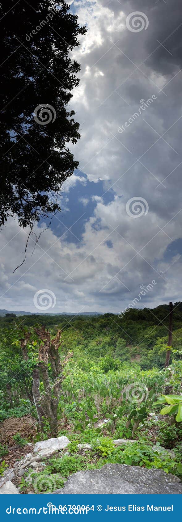 Ett stort landskap. Grön och blå himmel