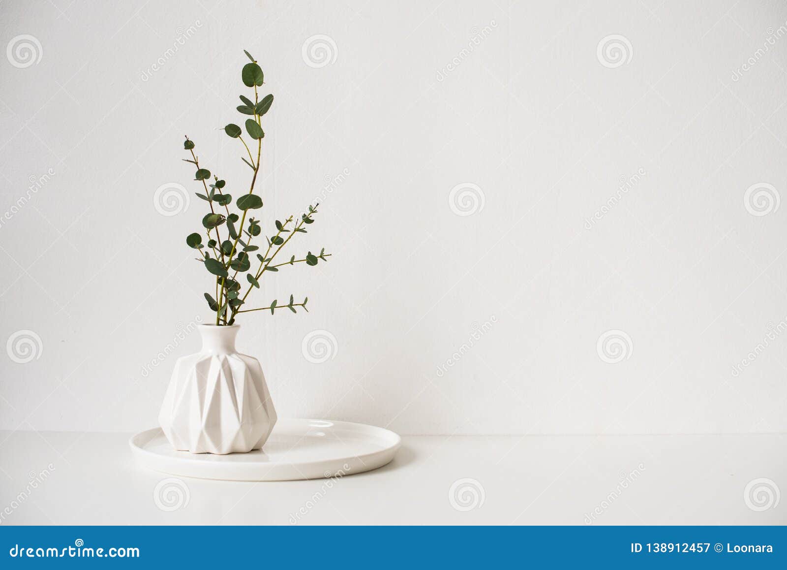 Eucalyptus Branches in White Ceramic Vase on Empty Wall Background