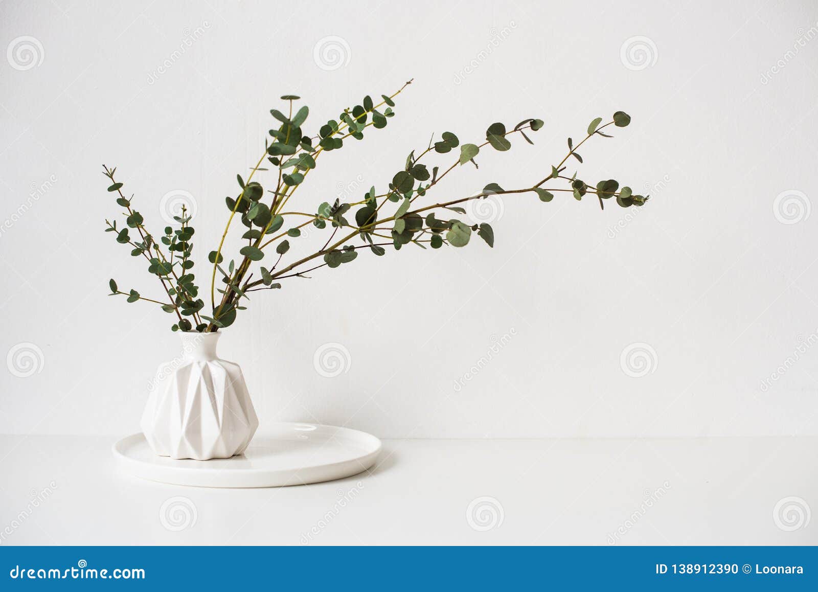 Eucalyptus Branches in White Ceramic Vase on Empty Wall Background
