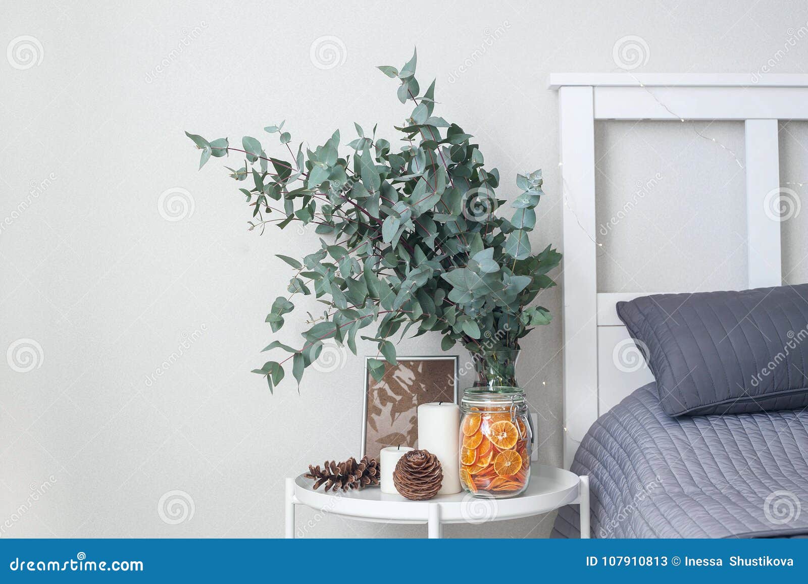 Eucalyptus in the Interior, in the Bedroom by the Bed. Stock Image