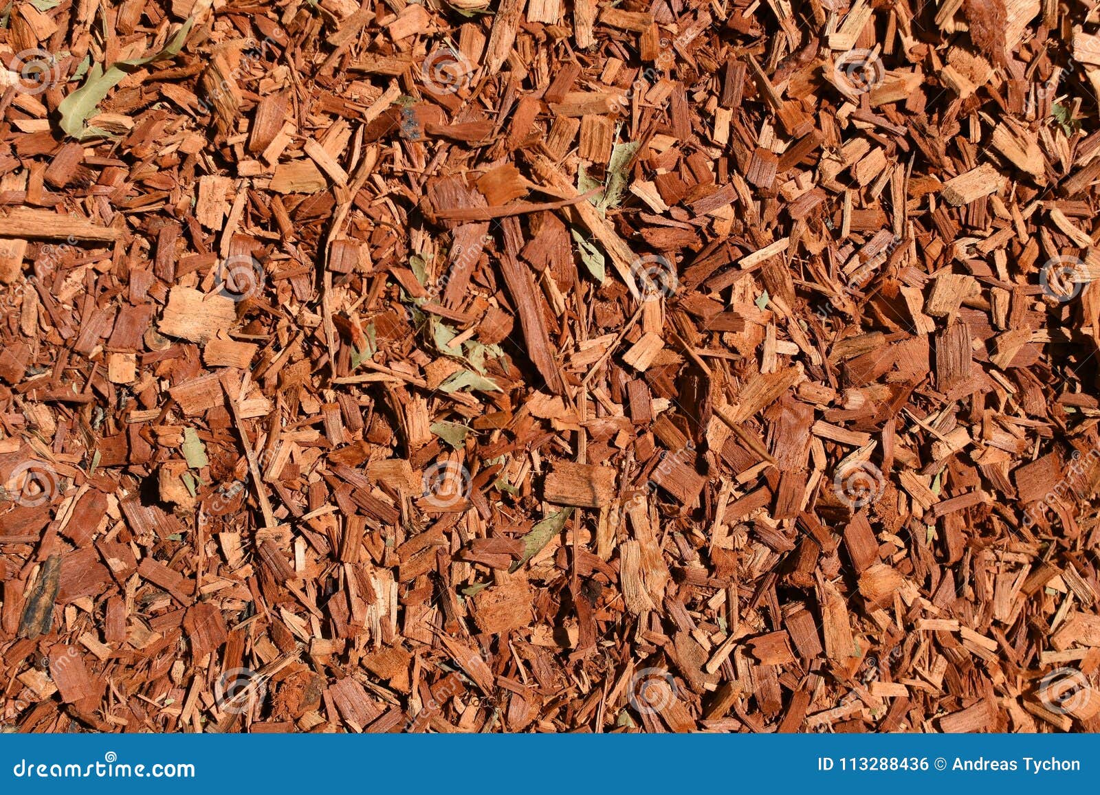 Eucalyptus Bark Mulch Textured Background Stock Photo Image of rough