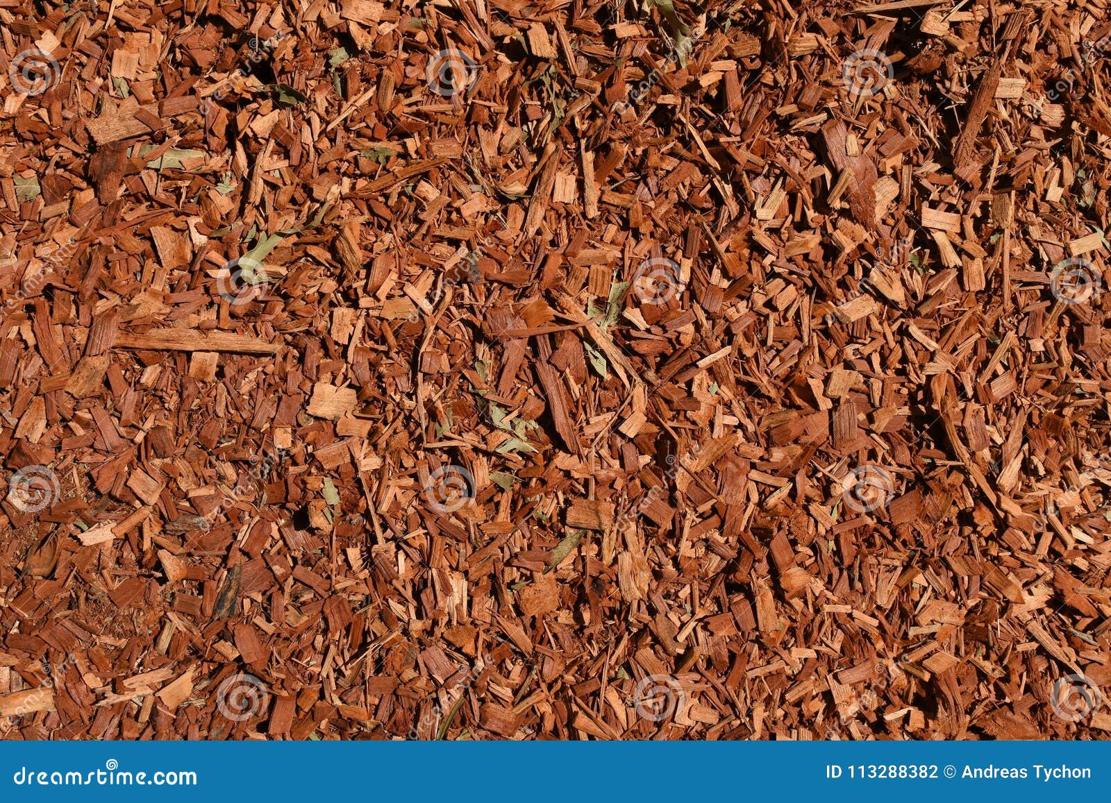 Eucalyptus Mulch Textured Background Stock Photo Image of background
