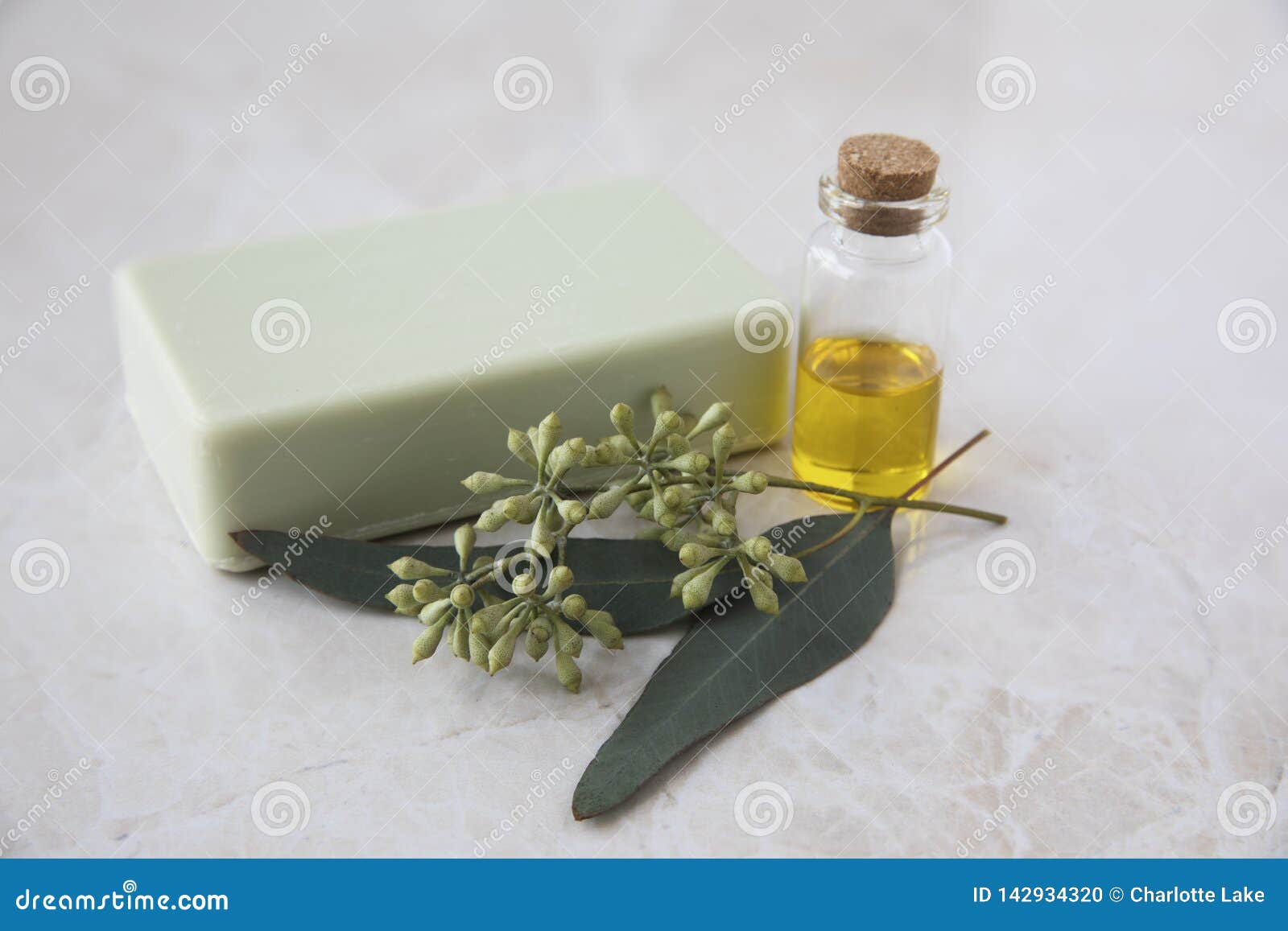 Eucalyptus Oil, Soap, and Leaves Stock Photo Image of fresh, herbal