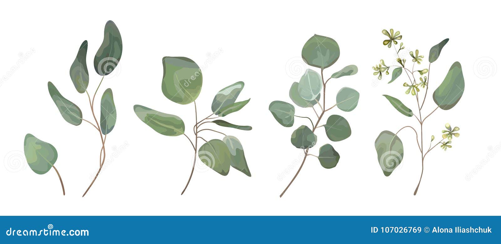 eucalyptus seeded silver dollar tree leaves er art, foliage, natural branches s in watercolor rustic style set