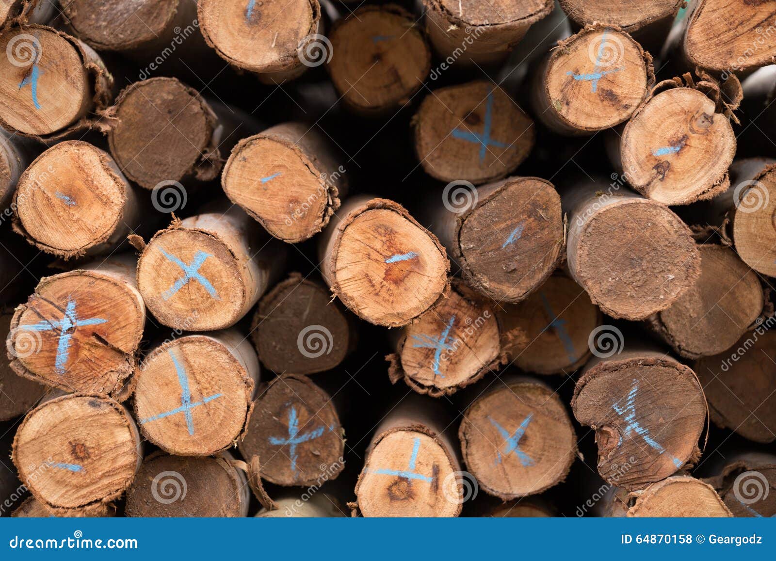 Eucalyptus Tree, Pile of Wood Logs Ready Stock Photo Image of round