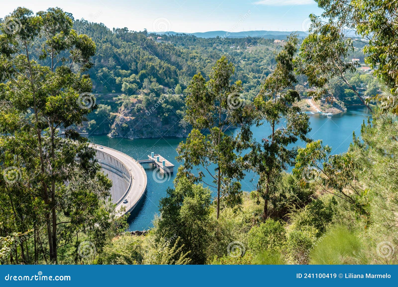 eucalyptus trees in the hill and wild vegetation with aerial view to cabril dam and zÃÂªzere river, pedrogÃÂ£o pequeno -sertÃÂ£ portu