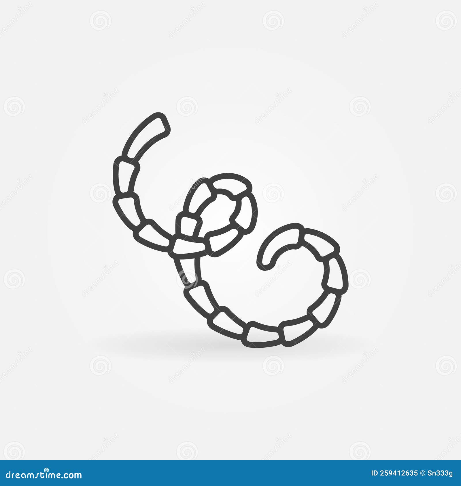 eucestoda  intestinal parasites concept outline icon