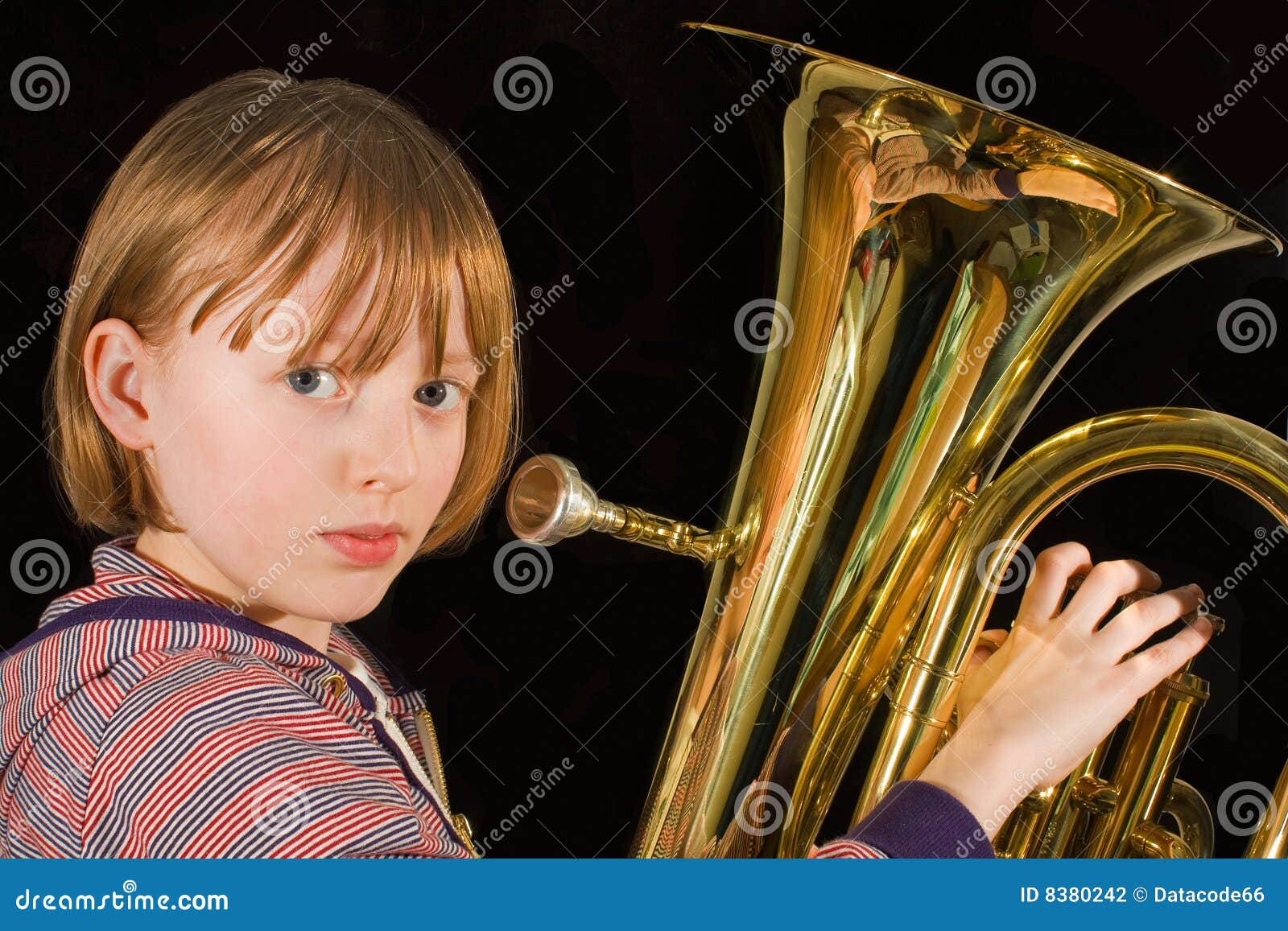 free kontakt orchestra brass free kontakt orchestra brass