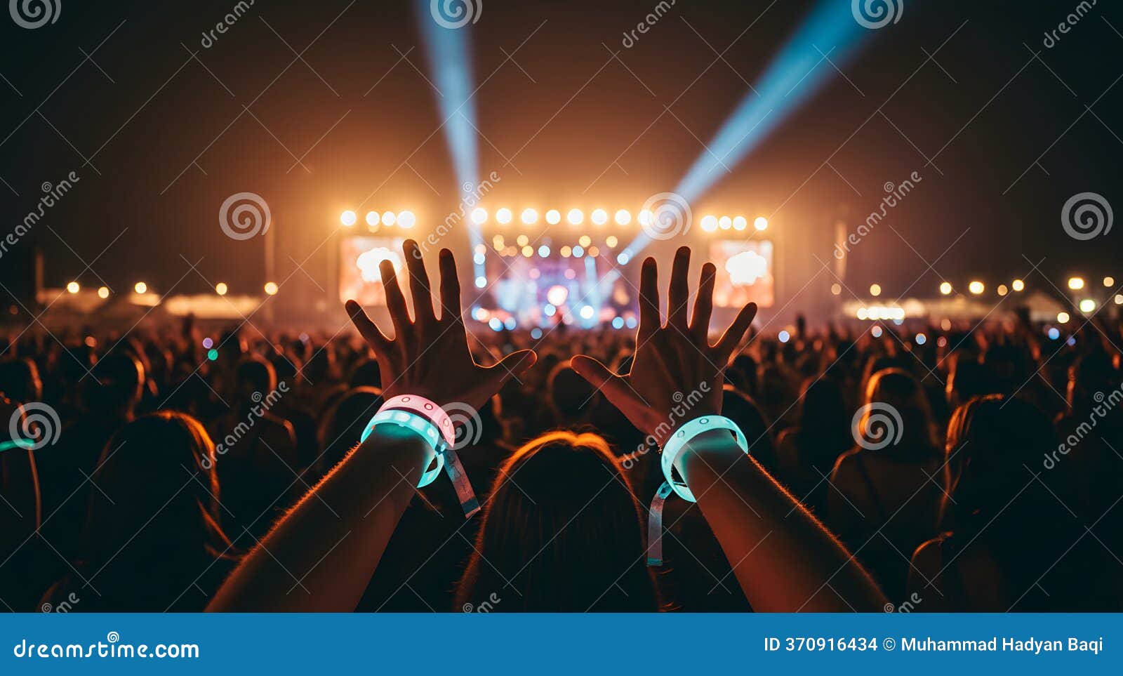 Music Festival 2026 Crowd enjoying the moment