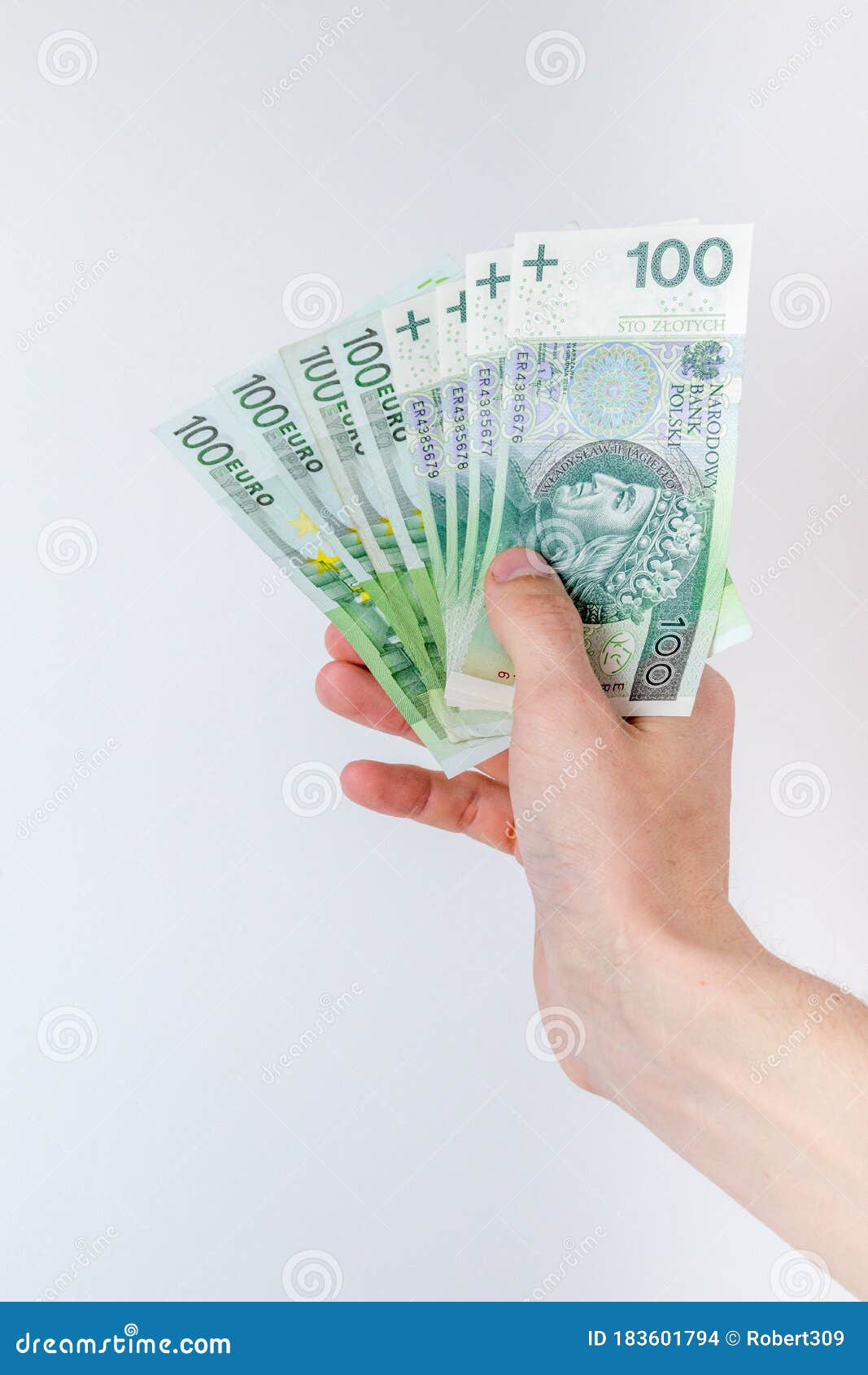 100 EUR and 100 PLN Banknotes Held in Right Hand Stock Photo - Image of  trade, business: 183601794