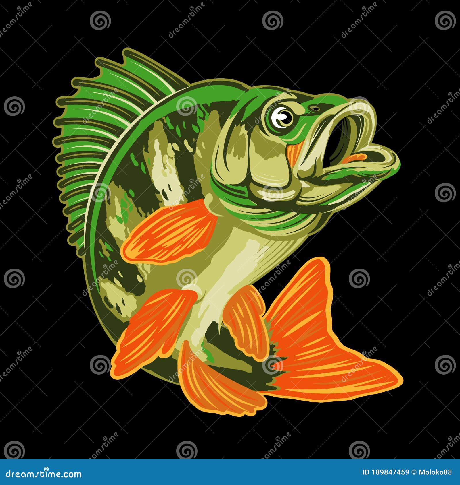 Eurasian River Yellow Perch Fish.Bass Fishing Logo Isolated on Black  Background Stock Vector - Illustration of angler, isolated: 189847459