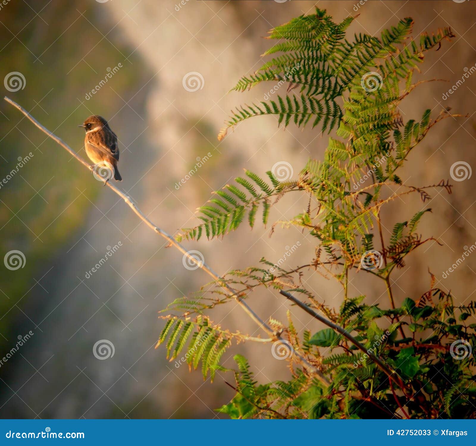 eurasian tree sparrow (passer montanus) over branch