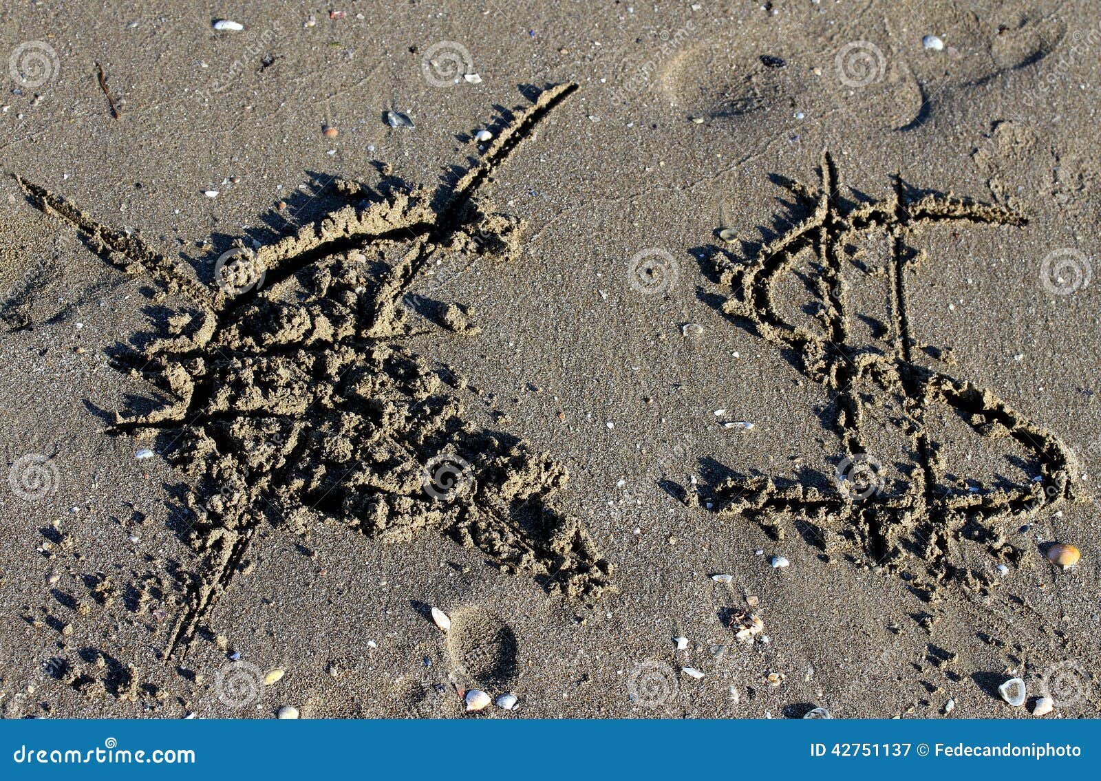 euro  erased and the dollar sign on the beach