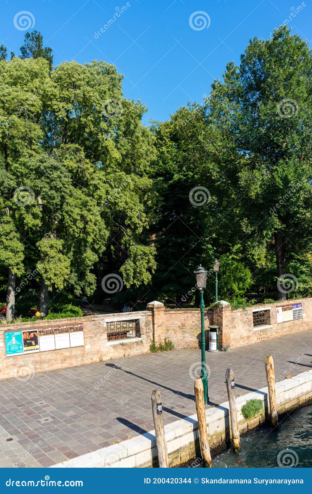 Italy, Venice, a Tree in a Park Stock Photo Image of structure