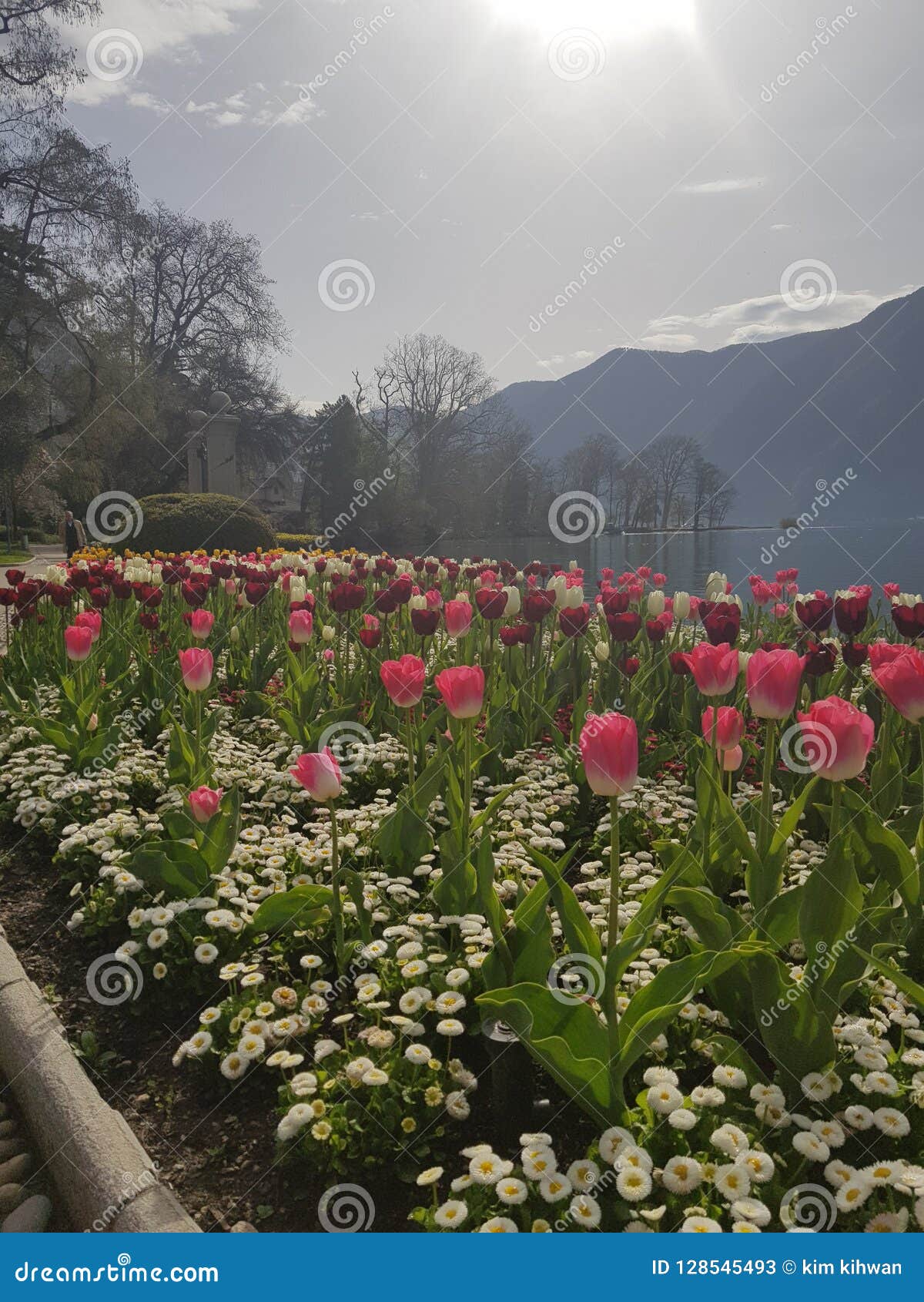 Swiss lugano flower stock image. Image of scenery, europe 128545493