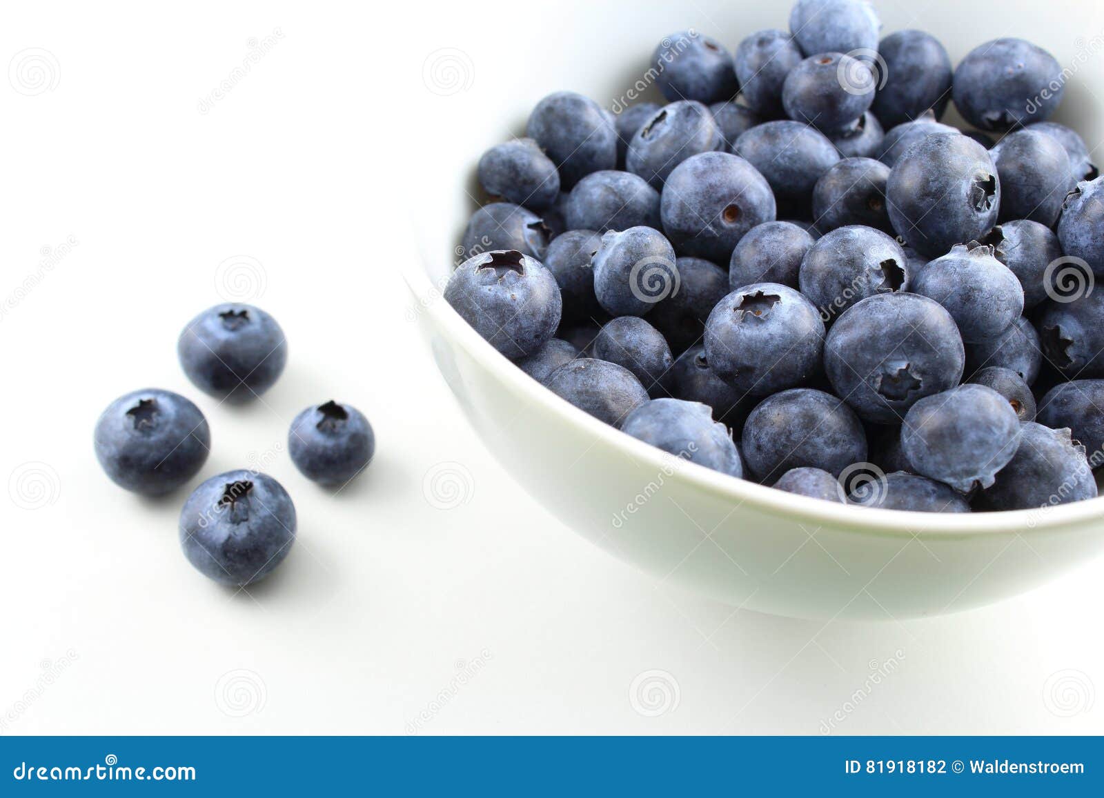 European blueberry fruits stock photo. Image of hurtleberries - 81918182