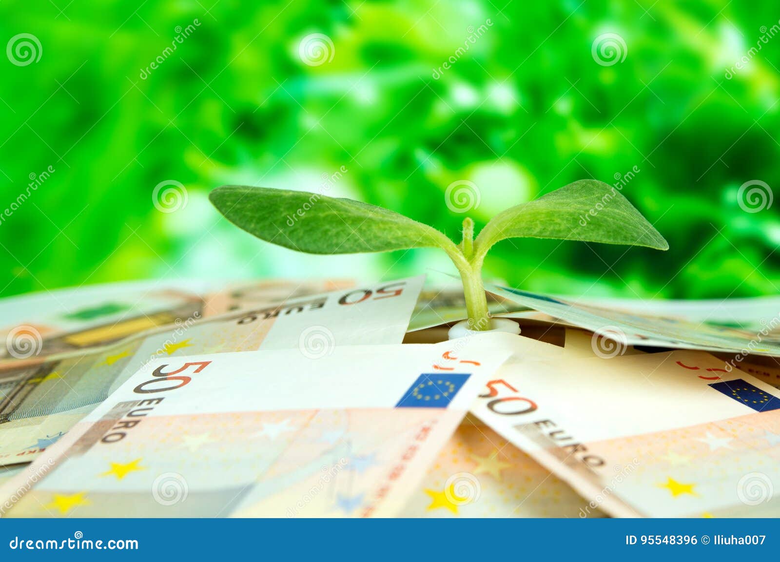 european money, green sprout on background